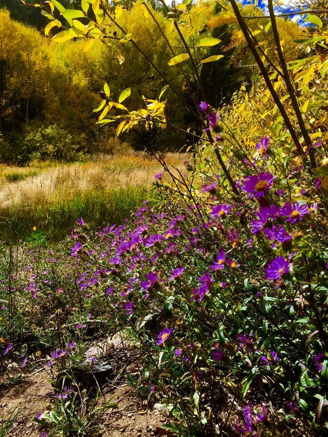 سنترال سيتي Hooper Homestead Bed And Breakfast المظهر الخارجي الصورة